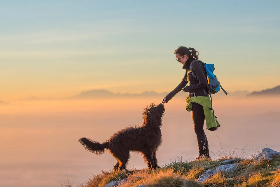 Randonneuse souriante qui tend une friandise à son chien noir à poil long, au sommet d'une montagne