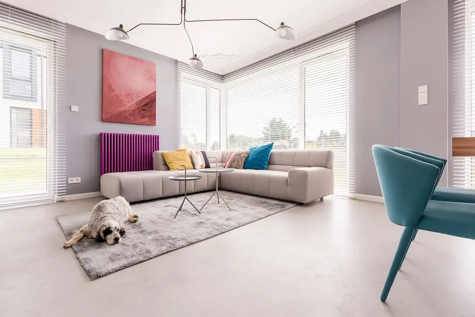 Chien couché seul sur le tapis d'un salon lumineux