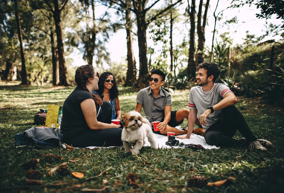 Petit chien shih tzu au milieu d'un groupe d'amis qui pique-niquent dans un parc