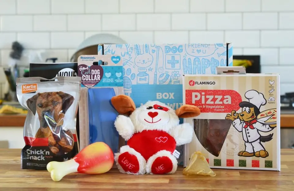 Contenu d'une box pour chien posé sur un plan de travail : sachets de friandises, peluche, jouet en latex et collier rafraîchissant