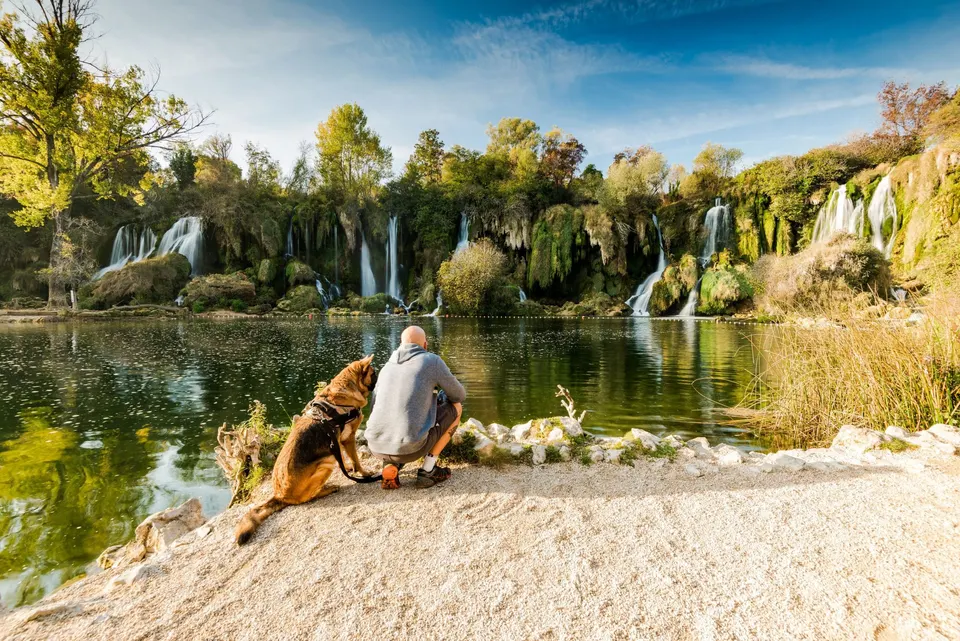 Homme accroupi au bord d'un lac face à des cascades, à côté de son berger allemand en harnais