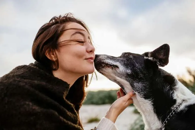 Chien qui lèche le visage d'une personne