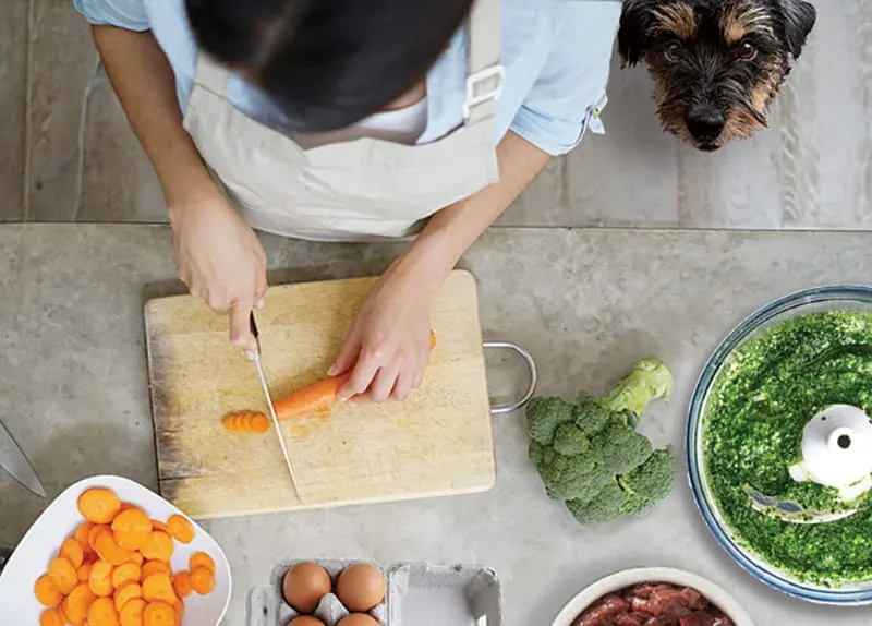 Une personne coupe des carottes sur une planche, à côté de brocoli, d'œufs, de viande et d'un robot mixeur, sous le regard d'un petit chien