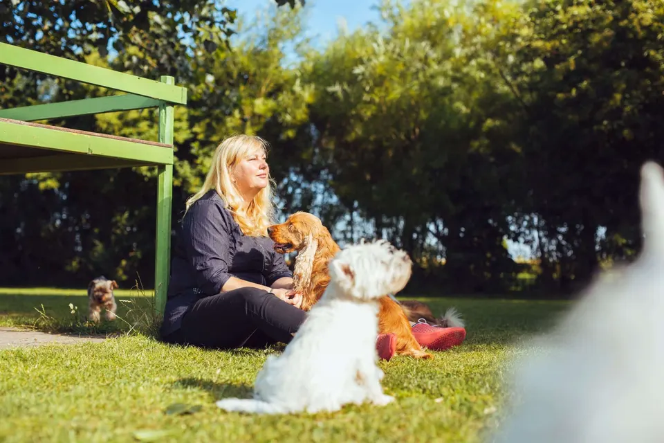 Une femme assise dans l'herbe d'un jardin ensoleillé, entourée d'un cocker roux, d'un westie et d'un yorkshire