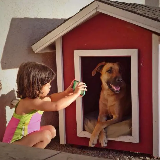 Petite fille prenant en photo un chien couché dans sa niche rouge