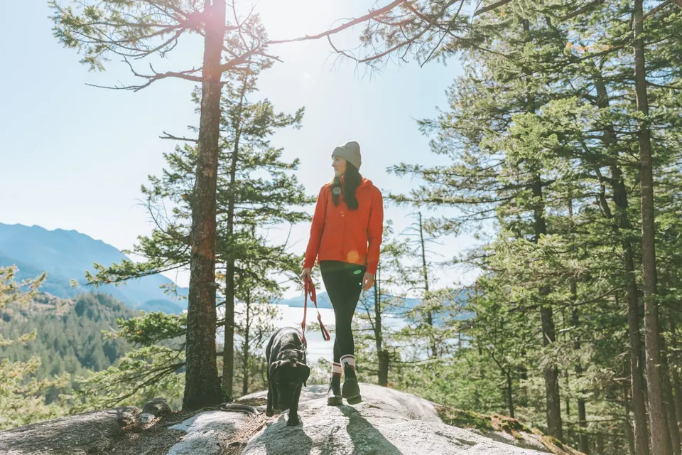 Une randonneuse et son chien marchent ensemble en montagne