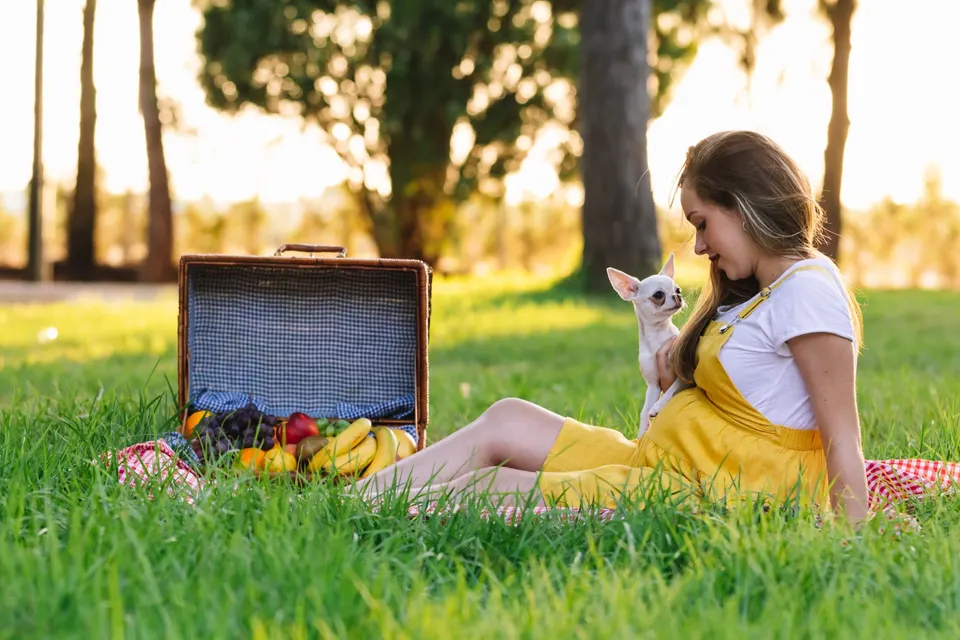 Jeune femme assise dans l'herbe avec un chihuahua blanc contre elle, à côté d'un panier de pique-nique