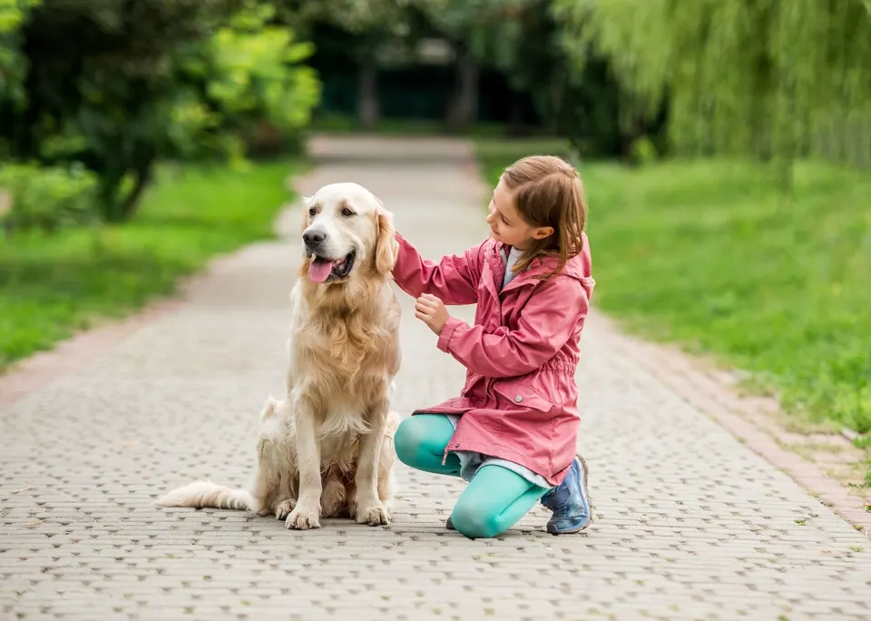 Fillette accroupie qui caresse un golden retriever assis sur une allée