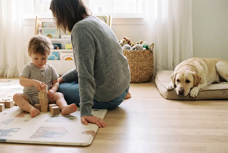 Un tout-petit empile des cubes sur un tapis de jeu à côté d'un parent, pendant qu'un labrador se repose sur son coussin à distance