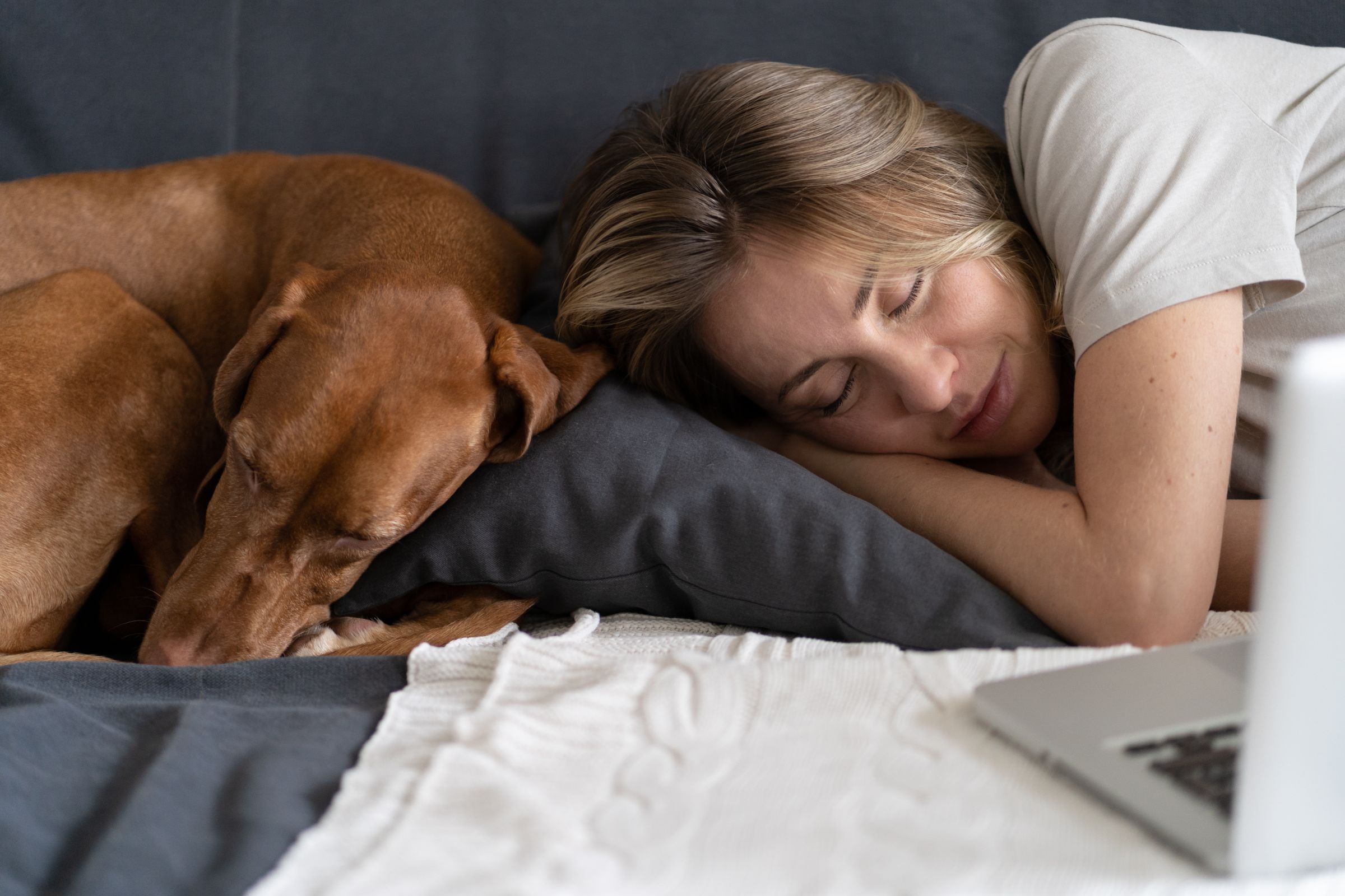 Pourquoi les chiens dorment-ils autant ? - Petohaku